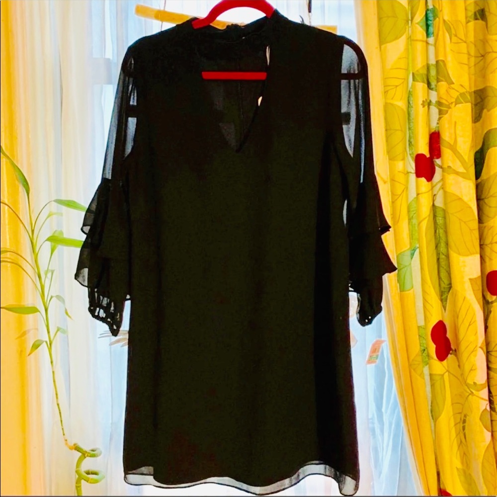 Naked Zebra Chiffon Style LBD!